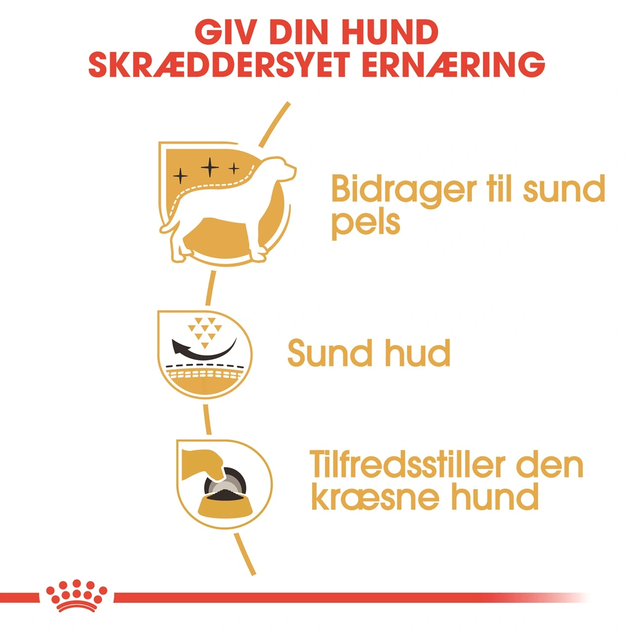 Royal Canin West Highland White Terrier Adult 3 kg - tørfoder til Westie